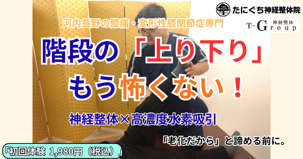 河内長野のたにぐち神経整体院で行う、膝の痛み・変形性膝関節症を改善する神経整体施術風景。膝関節の炎症を抑え、スムーズな歩行をサポートします。