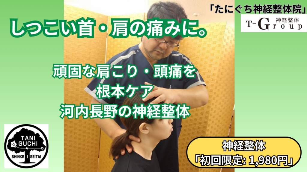 河内長野で首・肩の痛みを根本から整える神経整体の案内。初回限定1,980円キャンペーン実施中の文字入りサムネイル。